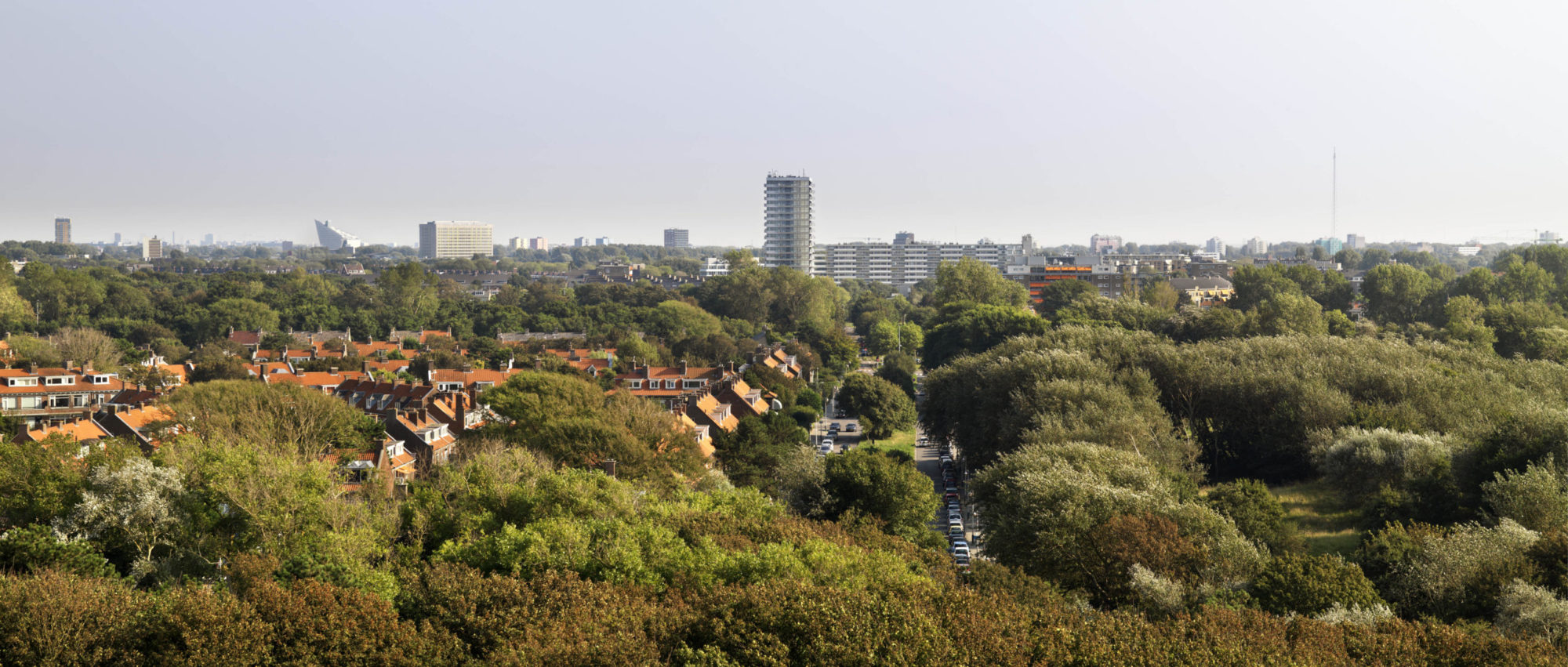 De Savorin Lohmanplein 08 09 2016_0225 LR