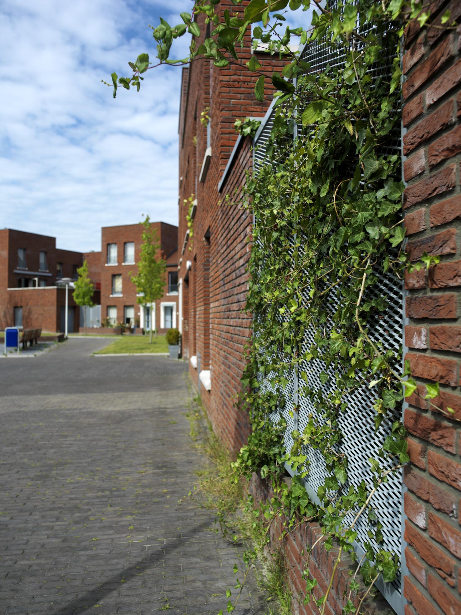 Kruidenbuurt Eindhoven beplanting muren