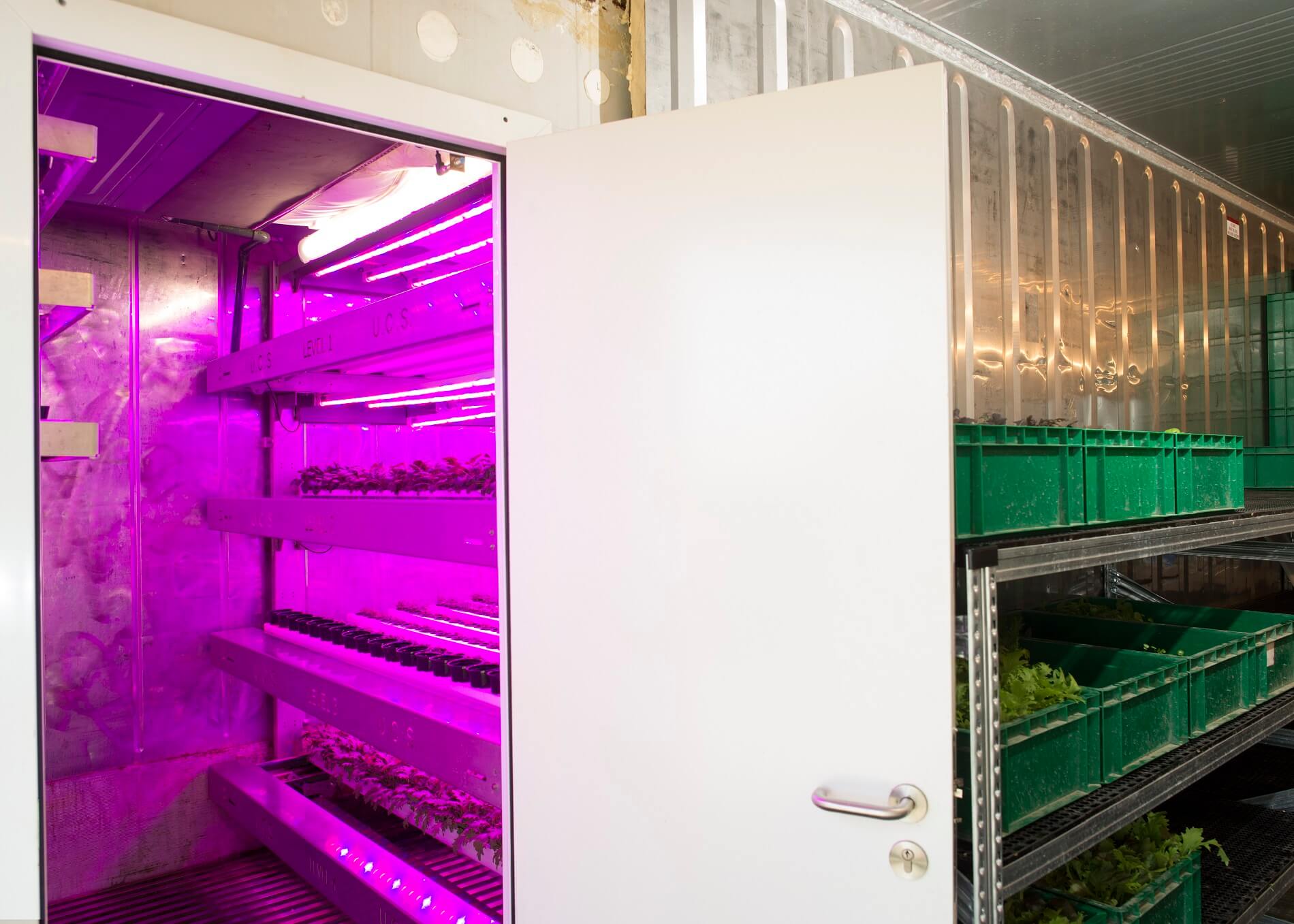 Beeldessay Rufus de Vries-Rijnboutt Magazine 13 (13)