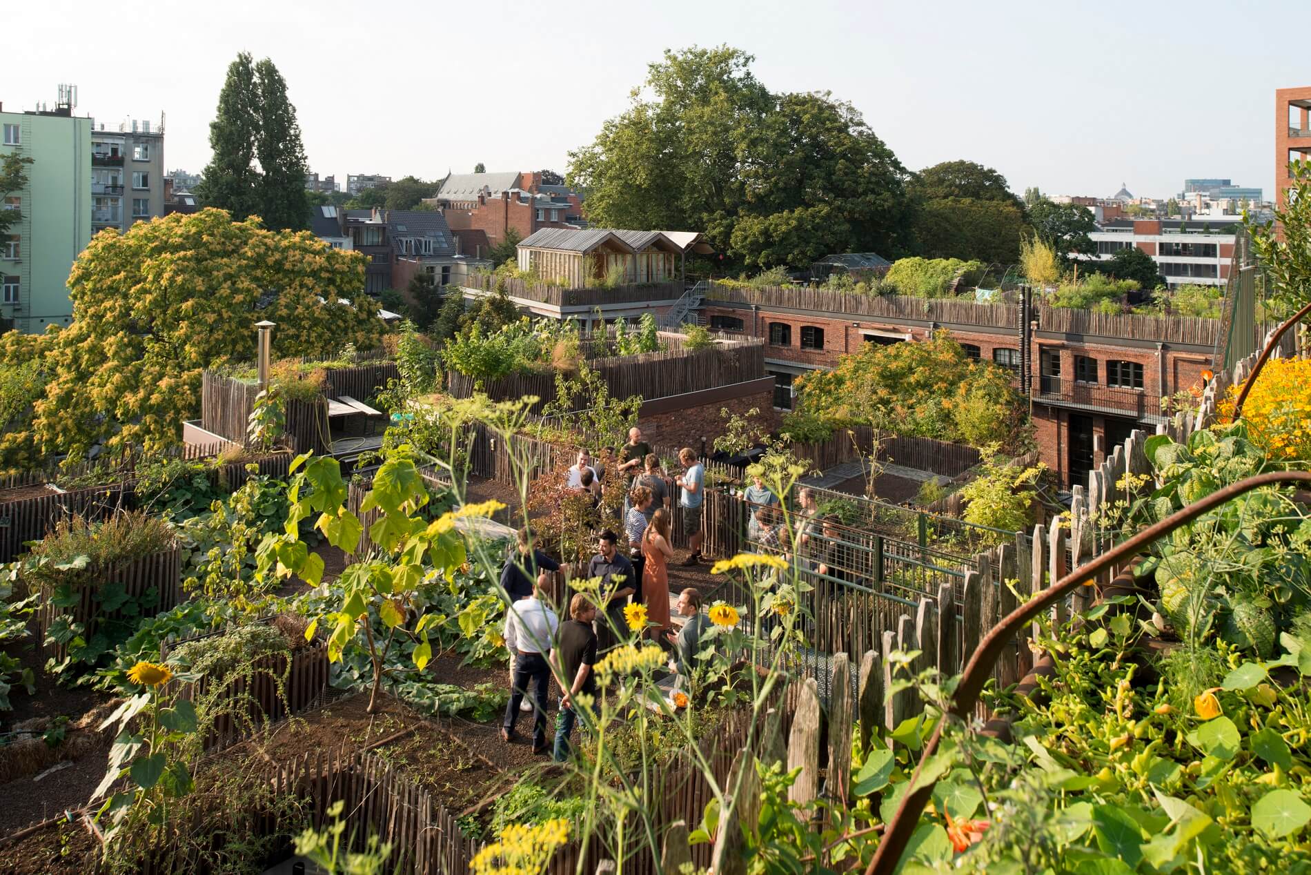 Beeldessay Rufus de Vries-Rijnboutt Magazine 13 (17)